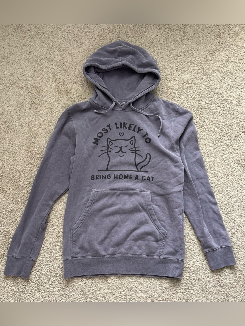 Women's Purple Cat Graphic Pullover Hoodie - 'Most Likely To Bring Home A Cat'